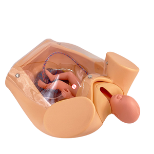 Simulador de Parto para Entrenamiento Integral en Habilidades de Parto, Modelo Anatómico de <span class=keywords><strong>Ginecología</strong></span> <span class=keywords><strong>y</strong></span> <span class=keywords><strong>Obstetricia</strong></span>, Enseñanza de Partería - Product Image 2