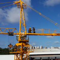 Grue à tour à flèche articulée HAISHAN 6T 55M Hammerhead pour la construction, avec boîte de vitesses et moteur RC, cabine portable MC110-6