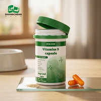 Comprimés et capsules enzymatiques personnalisables pour le soutien immunitaire, OEM, OBM, marque privée, multivitamines pour chats et chiens, énergie et vitalité