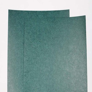 GeenDMD大麦紙ポリエステルフィルム柔軟なラミネート紙フィッシュペーパー優れた絶縁特性と高い機械的強度 - Product Image 4