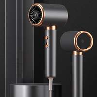 Léger 2000W Puissant Sèche-cheveux ionique négatif à faible bruit Sèche-cheveux à vent chaud pour une utilisation en extérieur Voyage Portable