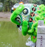 Accessoires de spectacle traditionnel pour adultes : Gong, cymbales, tête de lion chinois faite à la main sur mesure, ensemble complet offert