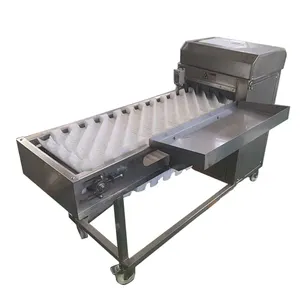 AICN Electric automatic Common fresh fish scale and oblique cutting machine Fish processing machine