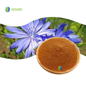 Polvere di Acido Cicorico di Alta Qualità 1%-4% CAS 6537-80-0 ISO/HACCP - Product Image 1