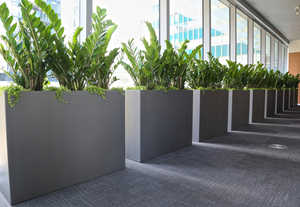 Jardinière en fibre de verre légère et robuste pour plantes d'extérieur, de jardin et de véranda - Product Image 6