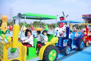 Tren Eléctrico Familiar para Parques de Atracciones, Construcción Duradera de Fibra de Vidrio, Metal y Acero para Parques al Aire Libre - Product Image 2
