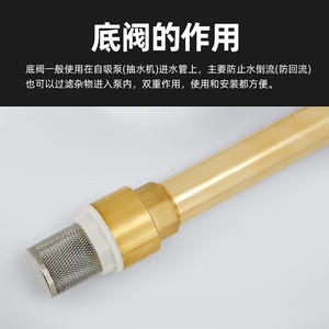 Vanne de retenue verticale en cuivre massif DN15, vanne à pied à 4-6 points avec filtre, anti-retour pour pompes de puits - Product Image 5