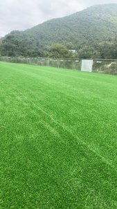 Césped artificial duradero para exteriores, césped sintético, alfombra verde natural, césped artificial para jardín - Product Image 2