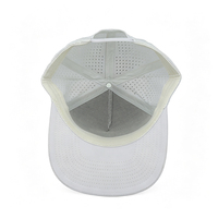 Gorras de Béisbol con Logotipo Bordado y Perforado, Impermeables, de 5 Paneles, Personalizadas para Equipos de Golf, ODM OEM
