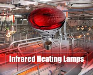 Lámpara de calefacción gruesa infrarroja para cría de animales, Bombilla de 100W/150W/200W/250W para incubar pollos, cerdo - Product Image 3