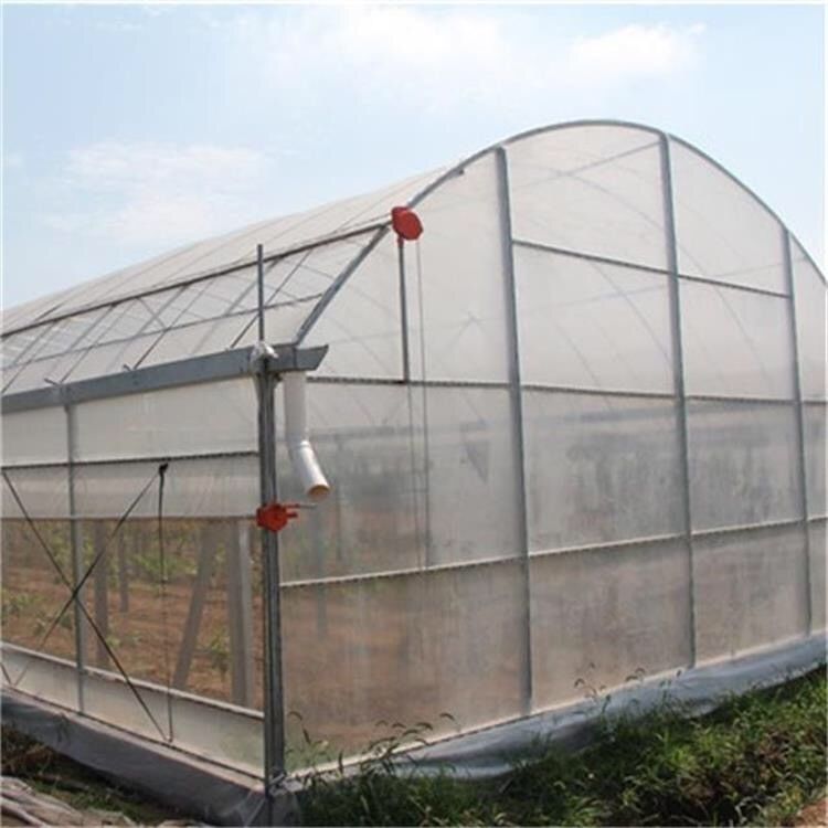 Low Cost Commercial Farming Plastic Green House Metal Frame Structure Single Span High Tunnel Agriculture Greenhouse for Plants