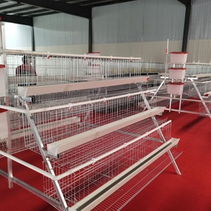 Galvanized Chicken Coop <strong>Cage</strong> H Type Layer Chicken Coop for 200 Birds, Space Saving - Product Image 1