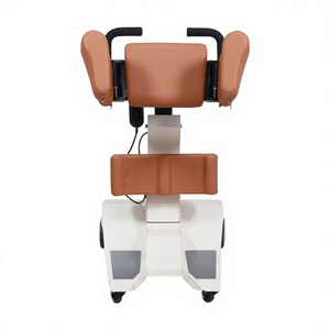 Elevador de Pacientes Pequeño de 100 kg para el Hogar - Elevador Portátil con Certificación ISO para el Traslado de Ancianos Asiáticos - Product Image 1