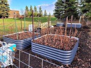 Kits de jardinières <span class=keywords><strong>sur</strong></span>élevées en acier galvanisé pour l'extérieur, bac à plantes en métal pour l'extérieur - Product Image 3