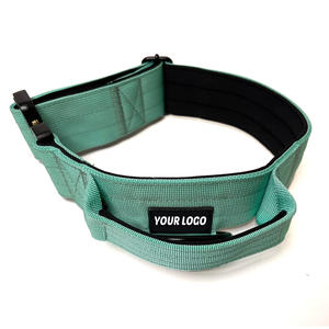 Kerah anjing taktis kerah hewan peliharaan anjing gembala Jerman nilon tugas berat dengan pegangan empuk - Product Image 5