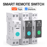 Interruptor de Circuito Inteligente WiFi 63A 1P+N con Medición de KWh, Monitoreo de Energía, Relé Temporizador, MCB y Riel DIN Azul para Cargas Domésticas