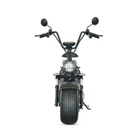 Voiture à batterie pour adulte Vélo électrique Scooter à deux roues Scooter électrique Prince Citycoco