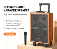 Sistem PA Metal Berdaya Tinggi dengan Mic UHF, USB/TF Card, Radio FM, Woofer 8-inci, Baterai Isi Ulang untuk Karaoke & Acara