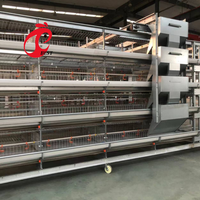 Cages pour volailles pondeuses d'occasion pour 3 poules avec cages à poulets Couche d'oeufs à vendre