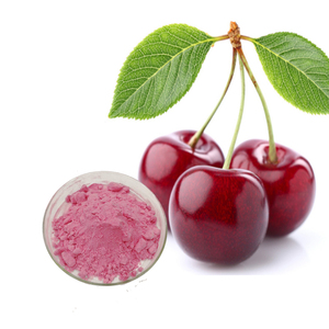 Puur Natuurlijk Acerola <span class=keywords><strong>Extract</strong></span> 1Kg Acerola Kersenpoeder Prijs - Product Image 2