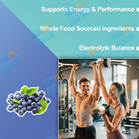 Créatine monohydrate en poudre avec électrolytes 2-en-1, complément pré-entraînement, vente en gros OEM, 300g, 30 portions