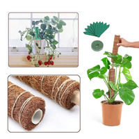 12 "Plant Stakes Moss Pole Tomato Plant Sticks Support pour la croissance des plantes grimpantes à l'intérieur