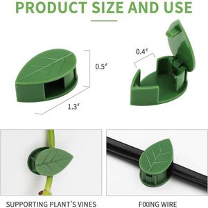Clips de fixation murale auto-adhésifs pour plantes grimpantes, clips de fixation en forme de feuille pour soutenir les plantes d'intérieur et d'extérieur - Product Image 3