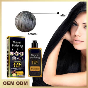Champú de Alta Calidad para el Tratamiento de la Caída del Cabello, Cuidado Capilar con Jengibre, Crecimiento del Cabello, Champú Herbal Anti-Caída Shouwu para Cabello Dañado para Mujeres - Product Image 2