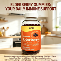 Gummies à la baie d'églantier pour soutenir le système immunitaire, saveur naturelle, sans colorants artificiels, 120 gummies, complément OEM