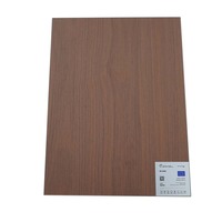 Vente en gros écologique de panneaux muraux en bois de placage pour fond de TV chambre et salle de bain avec finition anti-corrosion pour hôtels