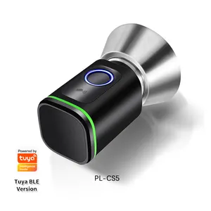 Tuya Appartement étanche Serrure à empreintes digitales mortaise laiton allemand Smart Cylindre Serrure à clé 60mm à 120mm de longueur