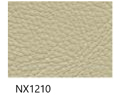 NX1210
