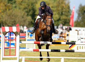 Binicilik Kulüpleri ve Arenaları için Güçlü Çerçeveler ve Parlak Raylarla Profesyonel Engel Atlama Seti - Product Image 5