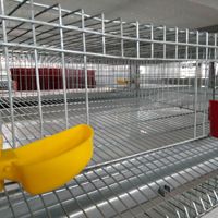 Nouvelle cage d'élevage de cailles automatique de haute qualité de type H avec fil galvanisé et élimination automatique du fumier