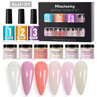 Vente en gros populaire kit de démarrage pour ongles, kit de poudre à tremper en acrylique transparent pour manucure à la française