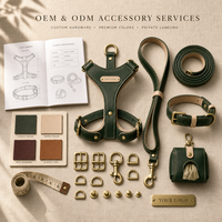 Ensemble Harnais, Collier et Laisse pour Chien Personnalisé Haut de Gamme OEM ODM – Matériaux Personnalisables, Couleurs Variées, Tissu Nylon, Cuir – Fabricant Marque Privée