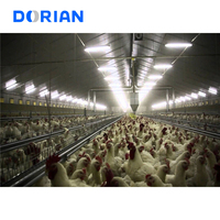 Mise en page de conception entièrement automatisée pour l'élevage de poulets de chair de poulet de couche au Pakistan