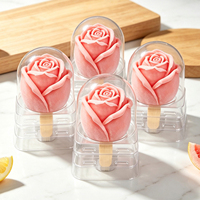 Moule à glace aux fruits INS, boîte d'emballage transparente en PET, framboise, fraise, ananas, dessert, plateau 3D en forme de grande fruits