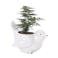 Forme d'oiseau En Gros Pot De Fleur Plantes Succulentes bleu Oiseau En Céramique Pot