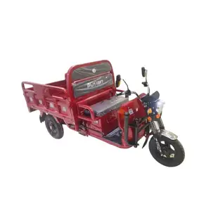 Simple 800W Auto-Rickshaw Electric Trike Dumpster For Cargo