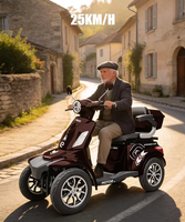 Moped électrique 2026 en stock UE, moteur brushless 1000W, 60V 20Ah, autonomie 46km, vitesse max 25km/h, 1 place