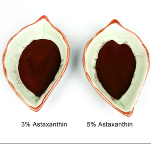 Vente directe d'usine de poudre d'astaxanthine à 3% issue d'Haematococcus Pluvialis |   Antioxydant pur pour les soins de la peau et les compléments alimentaires - Product Image 4