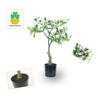 Oliviers artificiels en pot PE pour la décoration de bureau et de paysage pour les vacances et les occasions spéciales-Anniversaire et Pâques
