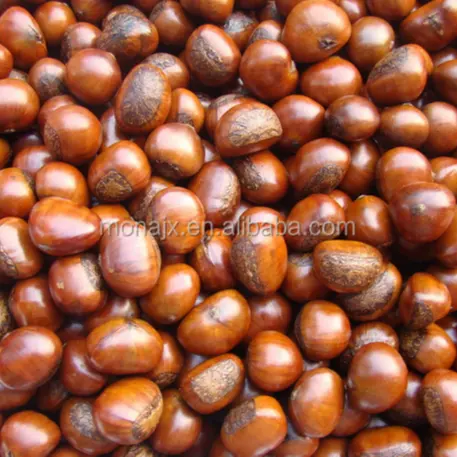 Chinese Chestnuts Shelling Machine / Castanea mollissima Sheller/chestnut peeling machine with factory price