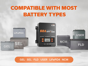LiTime 12V/24V/36V/48V 고효율 99% 태양열 충전 컨트롤러 60A MPPT 블루투스 어댑터 870W-3480W 최대 PV 전력 FePO4 - Product Image 6