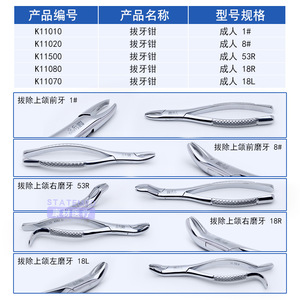 Pinzas de Extracción Dental Jinzhong de Shanghái, Instrumento Quirúrgico Dental Manual de Acero Inoxidable para Extracción de Dientes - Product Image 2