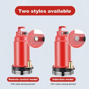 סוללת ליתיום מרחוק טעינה צולבת משאבה 12v 250w 0.33ph גבוהה זרימה גדולה <span class=keywords><strong>dc</strong></span> משאבה תת - Product Image 5