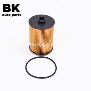 Filtre à huile pour Volkswagen Magotan Touareg Porsche Cayenne Skoda Superb B-186, joint torique inclus - Product Image 1