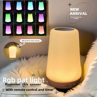 Lampe d'ambiance LED créative et moderne 13 couleurs, sans motif, pour chevet, chambres, bars, camping, rechargeable par USB