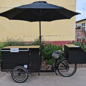 Vélo-congélateur électrique de haute qualité fabriqué en Chine, pour la vente ambulante de glaces et de sucettes glacées, vélo à trois roues - Product Image 1